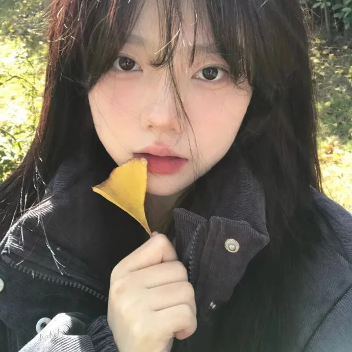 女猎鹰人